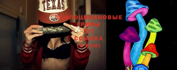 гидропоника Новодвинск