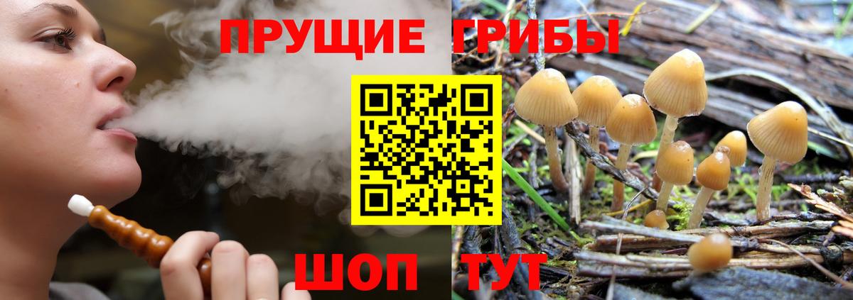 Псилоцибиновые грибы GOLDEN TEACHER  Галлюциногенные грибы мицелий  наркота  Вход с VPN  Лабинск 