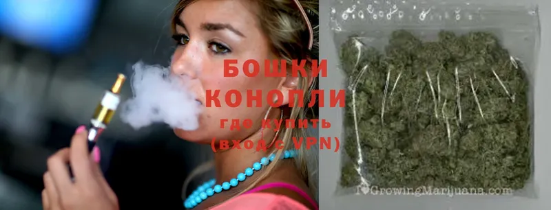 Каннабис OG Kush  Лабинск 